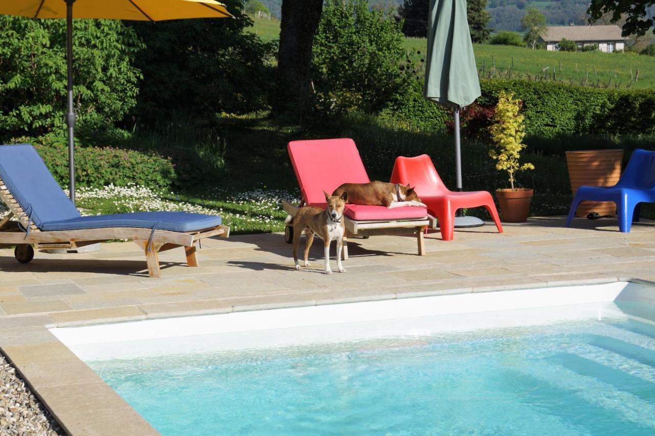 Bed and Breakfast Domaine De Saint Loth' Esterno foto